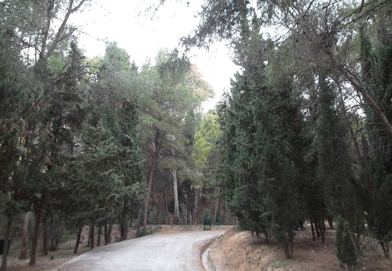 Apartamento en Málaga - Camino de la Desviación - MálagadeVacaciones