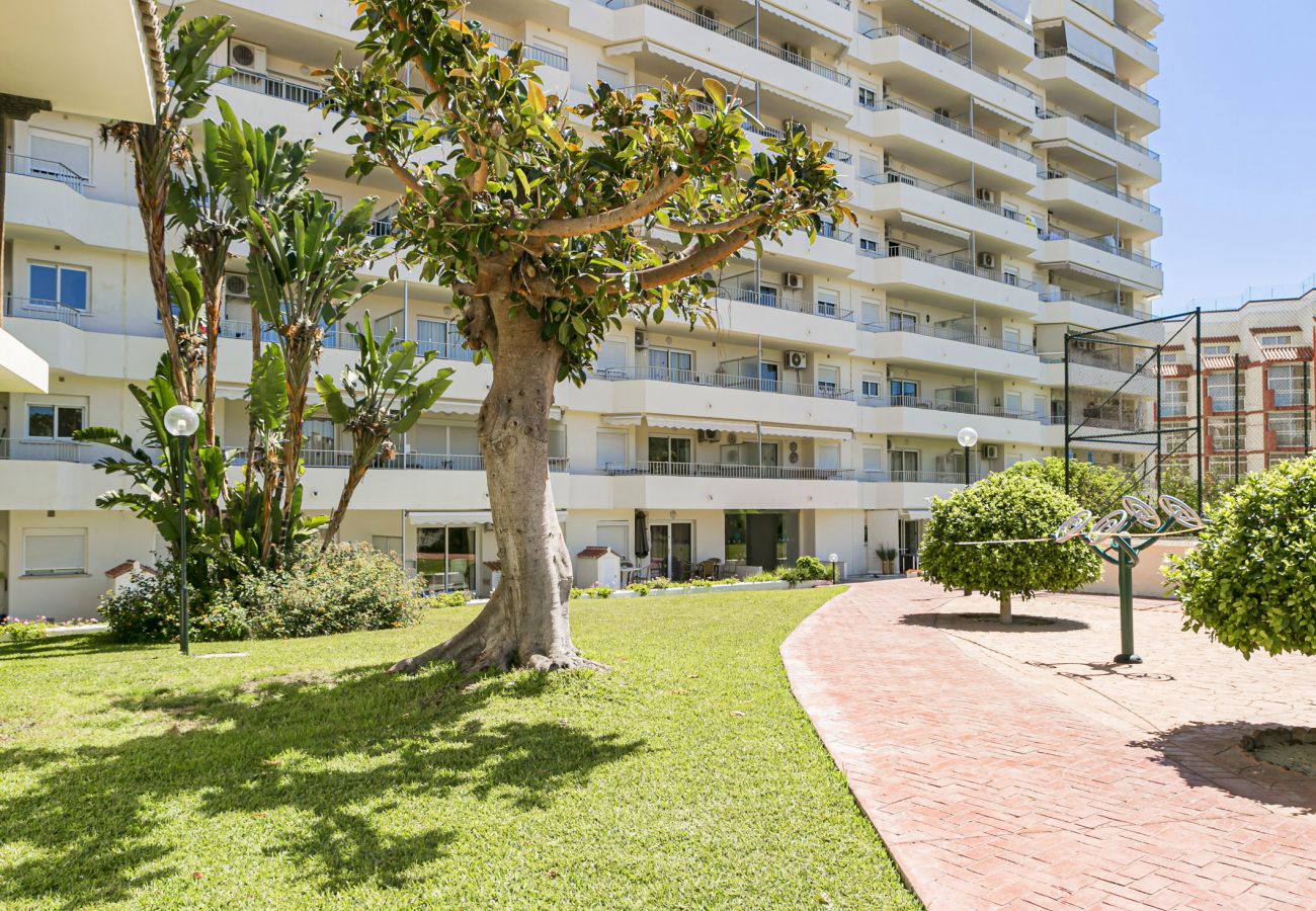 Apartamento en Torremolinos - La Carihuela Palace - MálagadeVacaciones