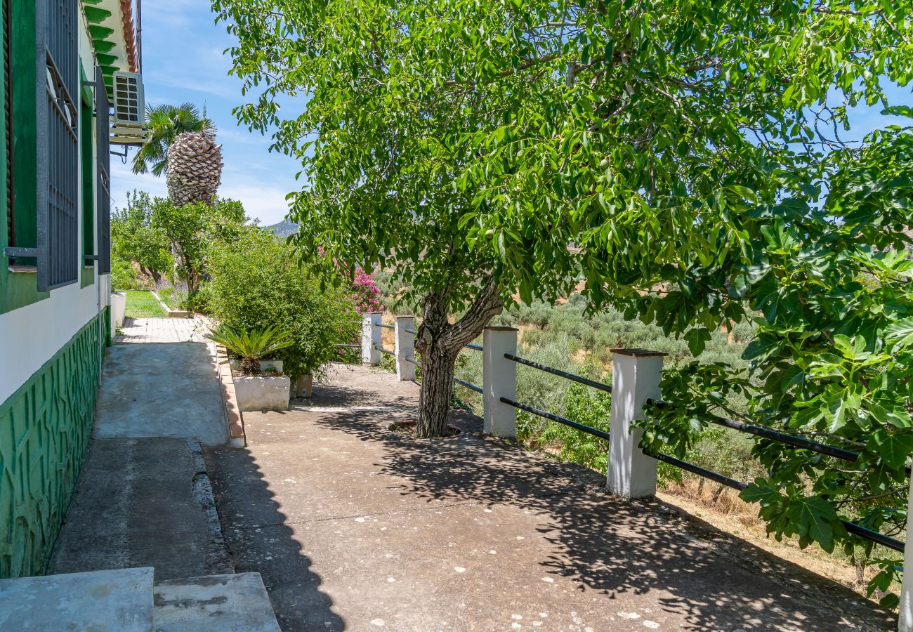 Casa rural en Carcabuey - Casa rural Molino Macegal - Malaga de Vacaciones