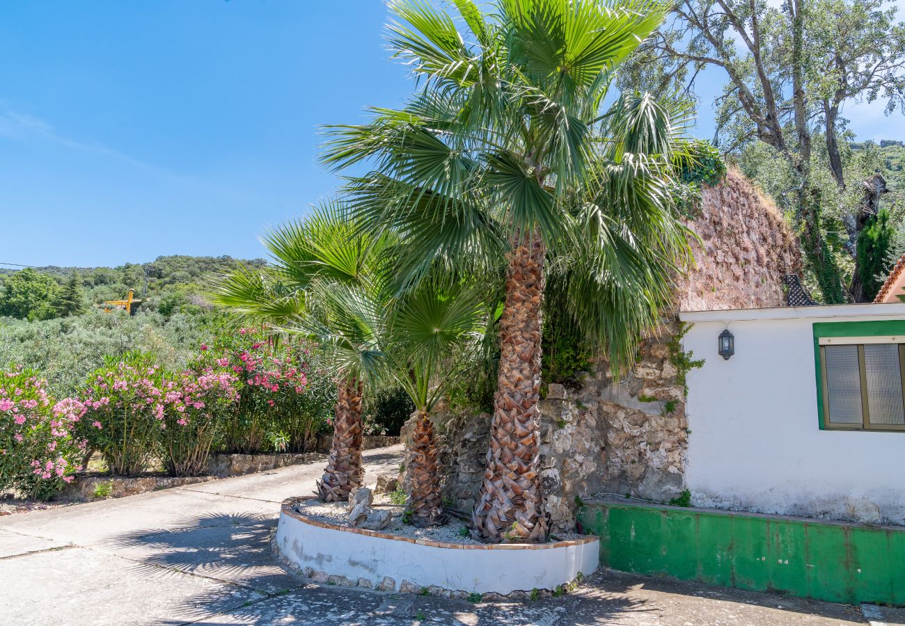 Casa rural en Carcabuey - Casa rural Molino Macegal - Malaga de Vacaciones