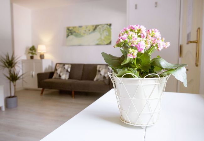 Studio in Málaga - Bolivia - MálagadeVacaciones Studio in Málaga - Bolivia - MálagadeVacaciones