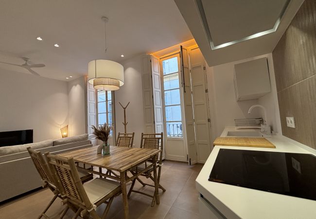 Apartment in Málaga - Zarzuela-MálagadeVacaciones Apartment in Málaga - Zarzuela-MálagadeVacaciones