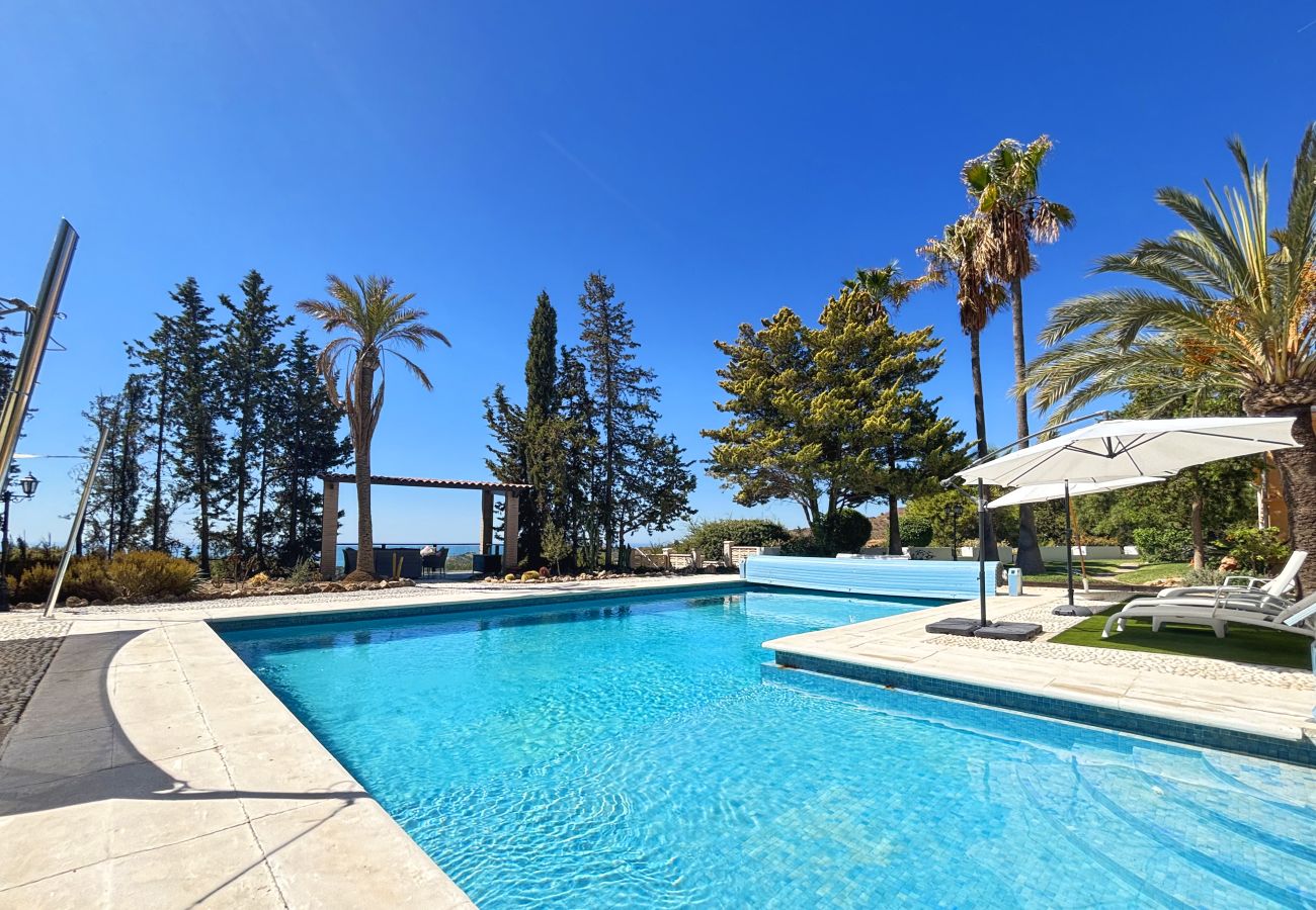 pool with views 