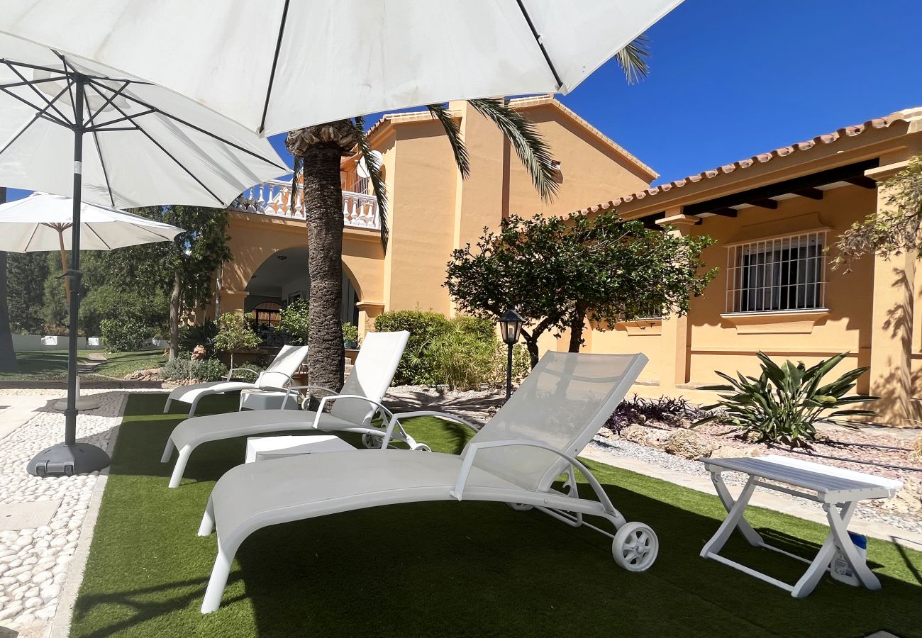  sun loungers